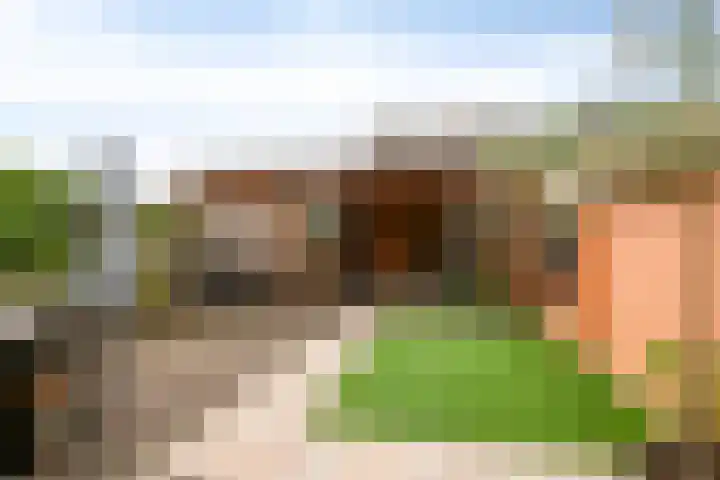 Laurierhof 32 Etten-Leur thumbnail 20