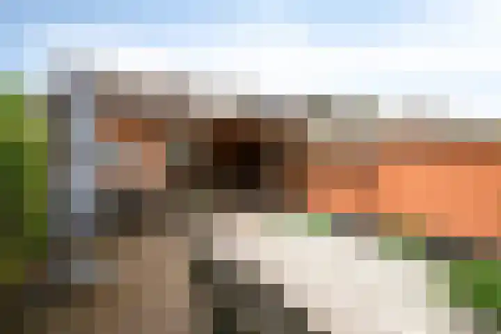 Laurierhof 32 Etten-Leur thumbnail 21