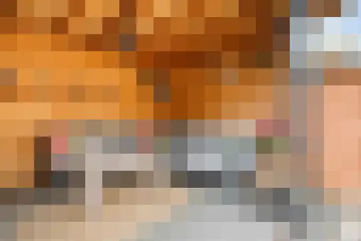 Laurierhof 32 Etten-Leur thumbnail 24