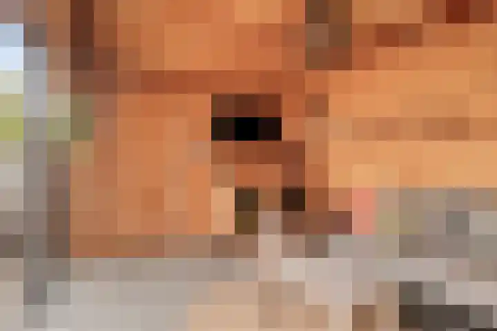 Laurierhof 32 Etten-Leur thumbnail 25