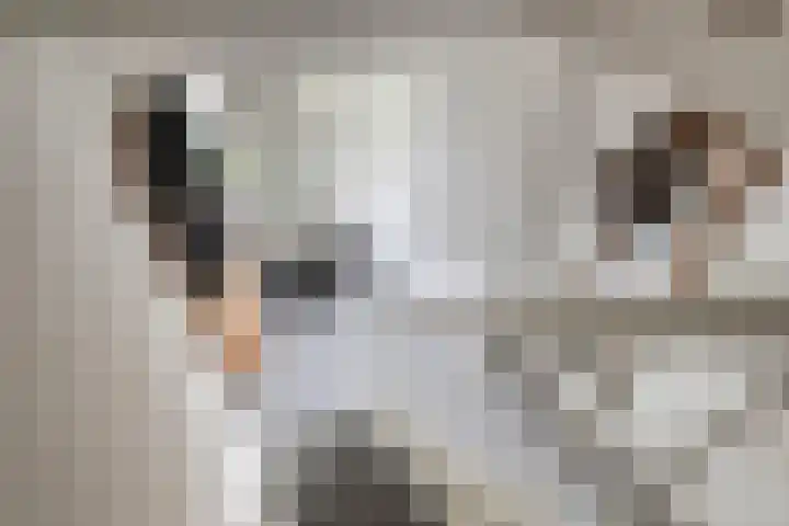 Laurierhof 32 Etten-Leur thumbnail 27