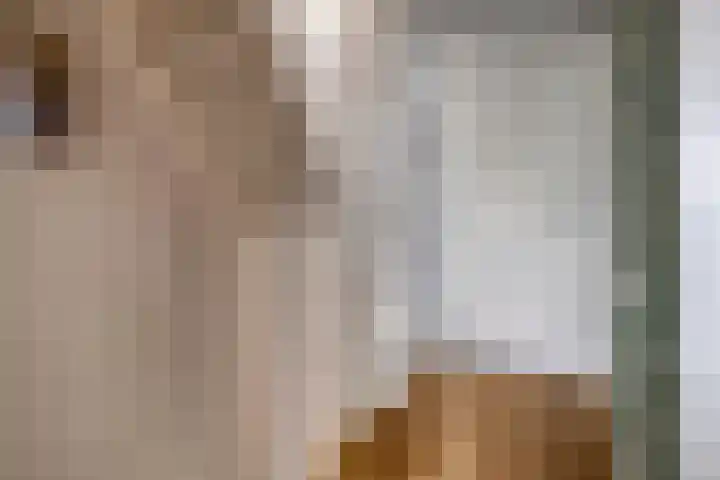 Laurierhof 32 Etten-Leur thumbnail 28