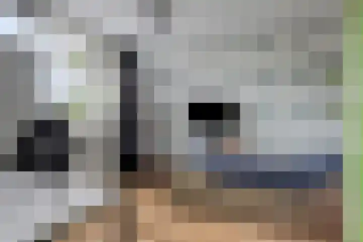 Laurierhof 32 Etten-Leur thumbnail 32