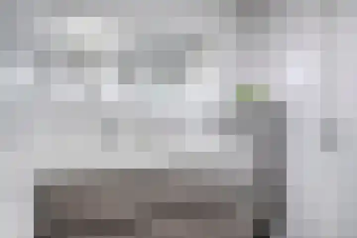 Laurierhof 32 Etten-Leur thumbnail 38