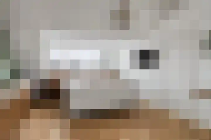 Laurierhof 32 Etten-Leur thumbnail 39