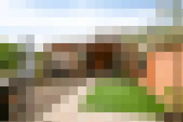 Laurierhof 32 Etten-Leur thumbnail 4