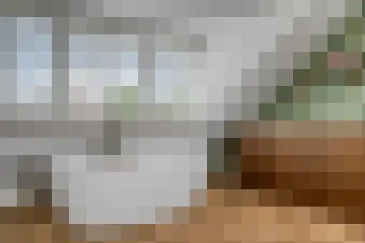 Laurierhof 32 Etten-Leur thumbnail 42