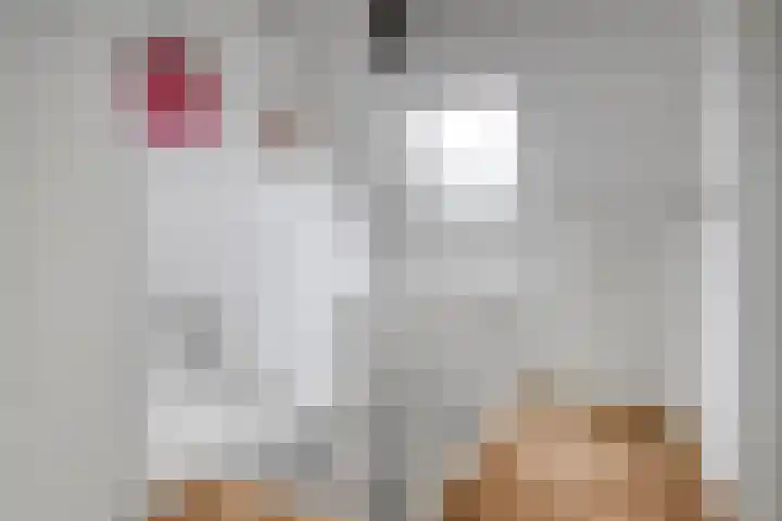 Laurierhof 32 Etten-Leur thumbnail 45