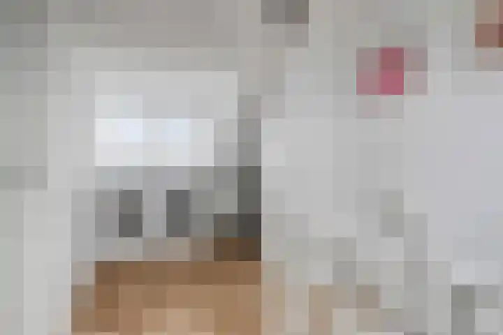 Laurierhof 32 Etten-Leur thumbnail 46