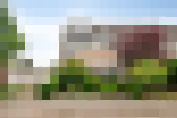 Laurierhof 32 Etten-Leur thumbnail 47