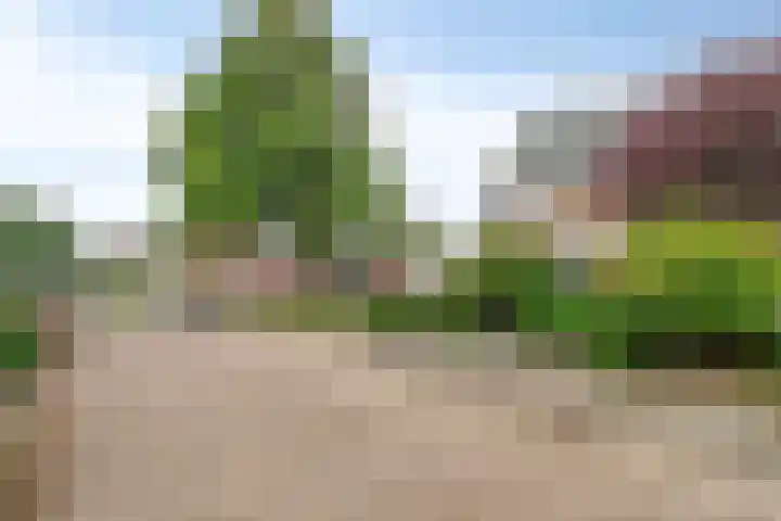 Laurierhof 32 Etten-Leur thumbnail 48