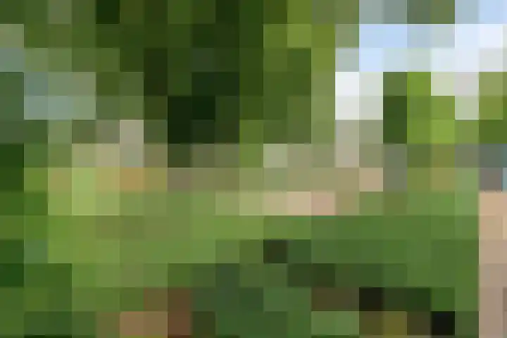 Laurierhof 32 Etten-Leur thumbnail 50