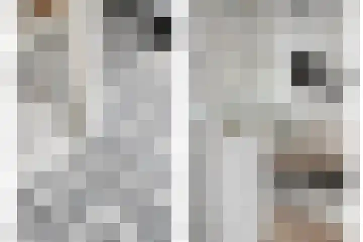 Laurierhof 32 Etten-Leur thumbnail 9