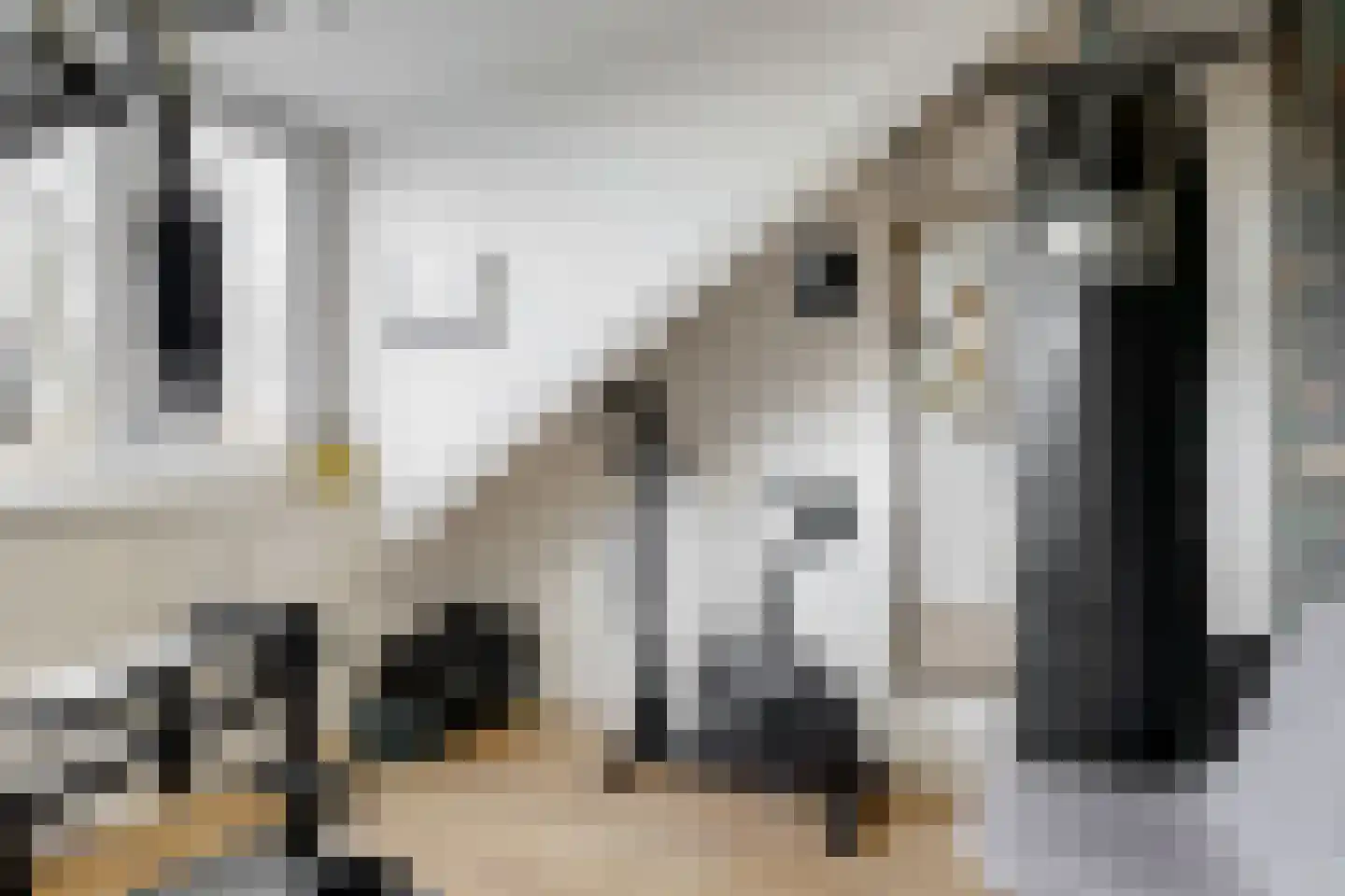 Laurierhof 35 Voorhout thumbnail 28