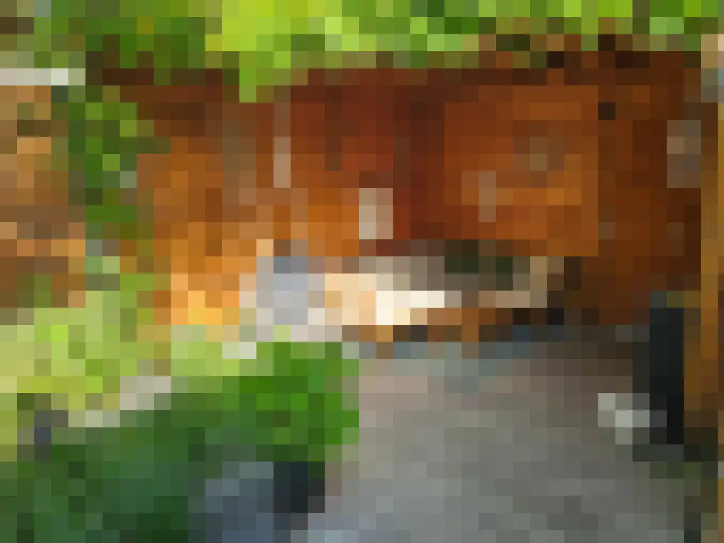 Laurierhof 35 Voorhout thumbnail 33