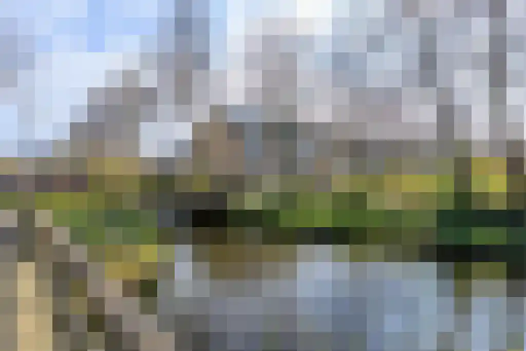 Laurierhof 35 Voorhout thumbnail 38