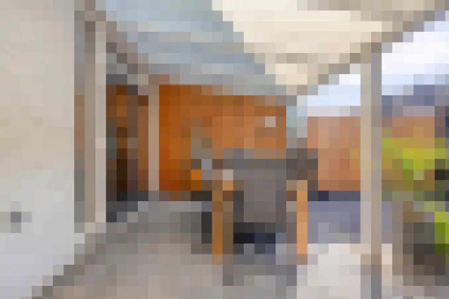 Laurierhof 75 Etten-Leur thumbnail 30