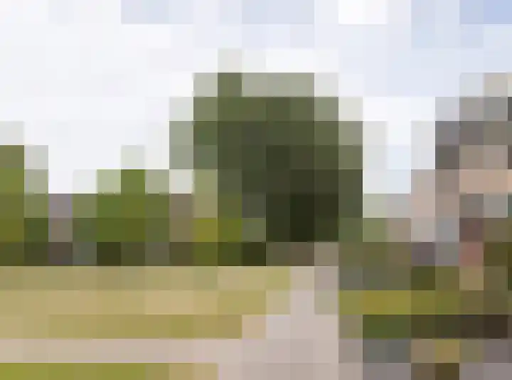 Laurierhof 79 Etten-Leur thumbnail 35