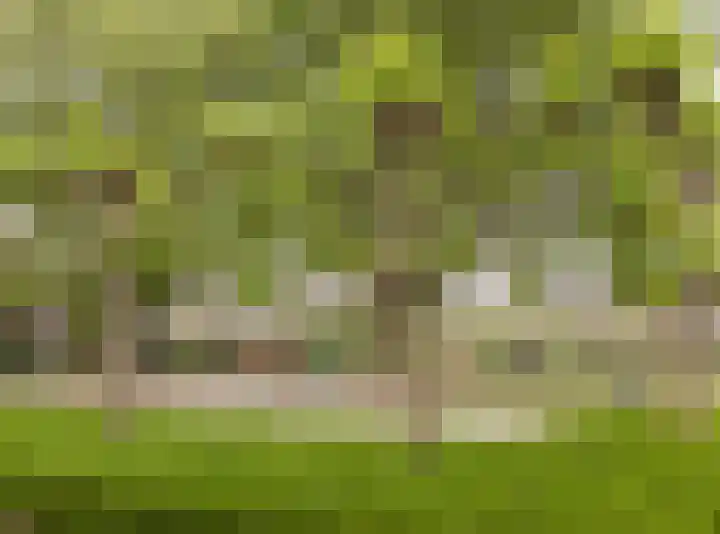 Laurierhof 79 Etten-Leur thumbnail 36
