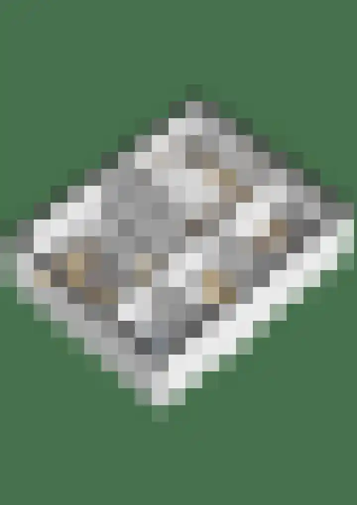 Laurierhof 79 Etten-Leur thumbnail 41