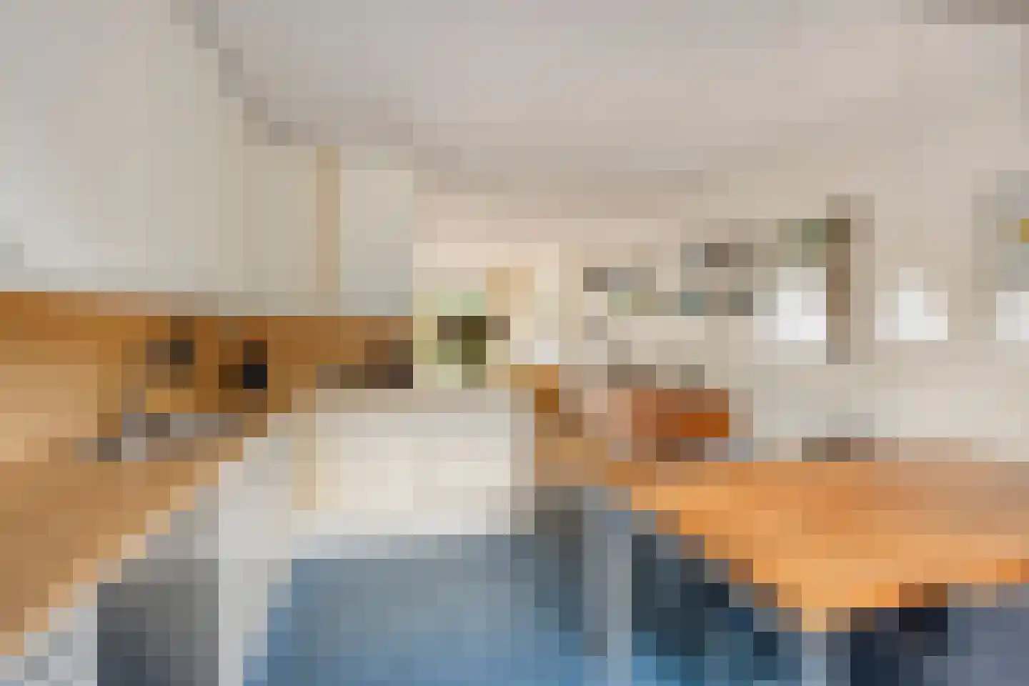Laurierkerslaan 10 Amstelveen thumbnail 10
