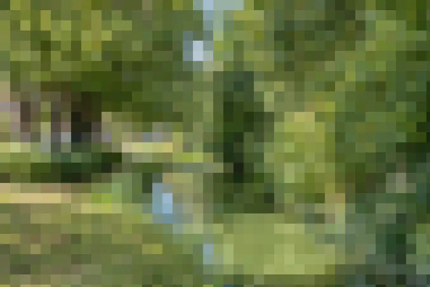 Laurierkerslaan 10 Amstelveen thumbnail 28