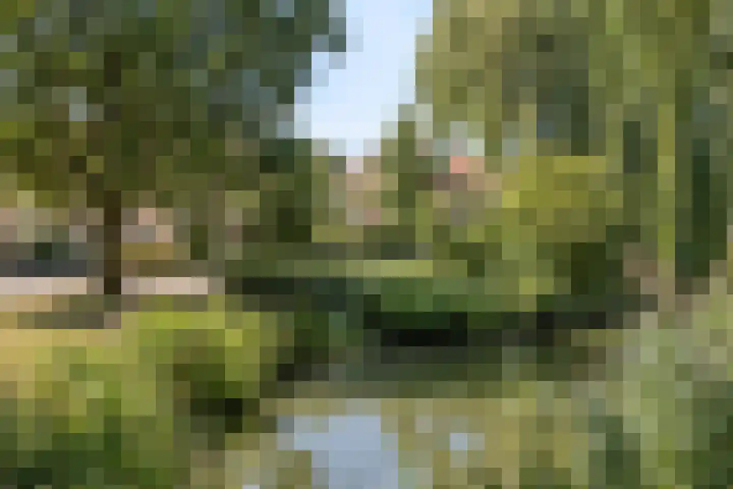 Laurierkerslaan 10 Amstelveen thumbnail 30
