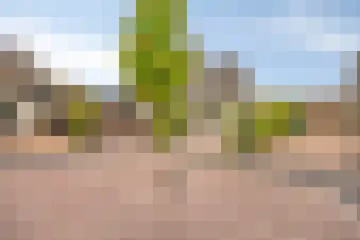 Laurierpark 104 Assen thumbnail 9
