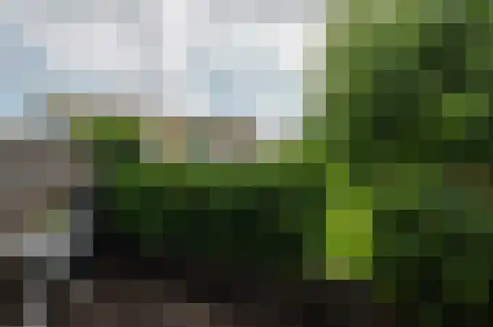 Laurierpark 124 Assen thumbnail 11