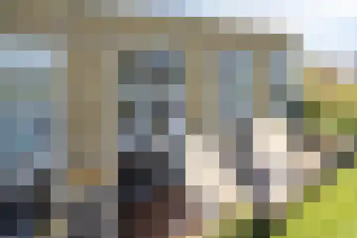 Laurierpark 94 Assen thumbnail 15