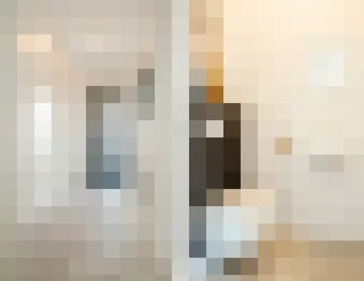 Laurierplein 45 Eindhoven thumbnail 10