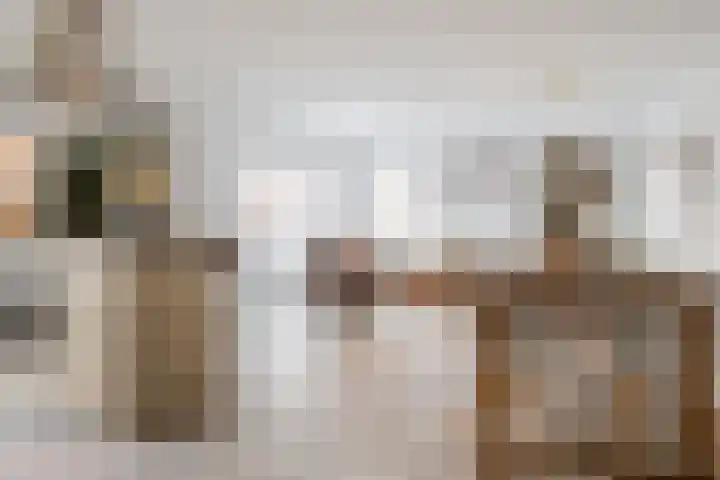 Laurierplein 45 Eindhoven thumbnail 11