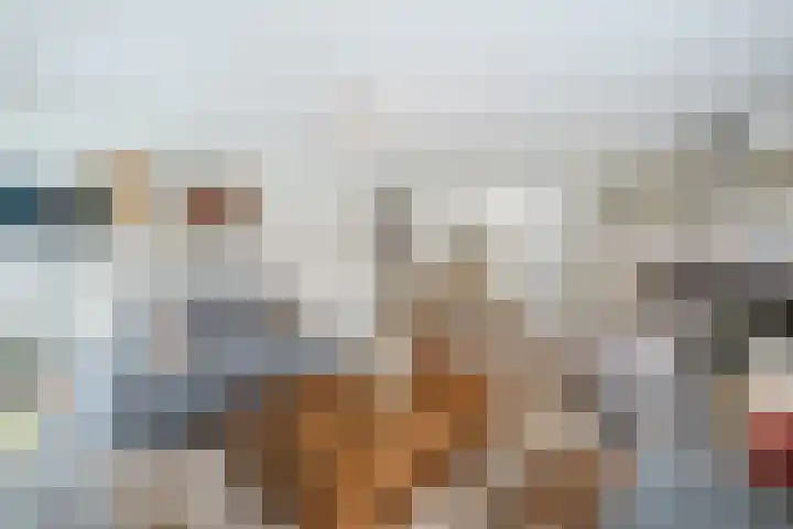 Laurierplein 45 Eindhoven thumbnail 15