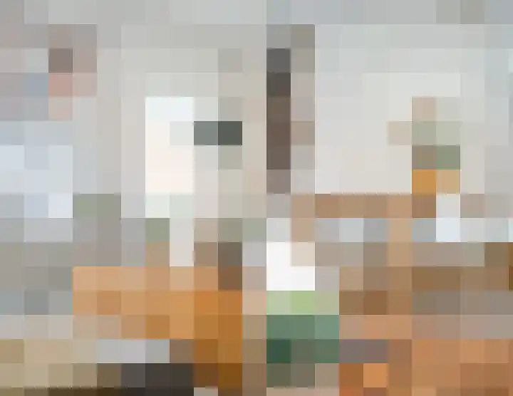 Laurierplein 45 Eindhoven thumbnail 16