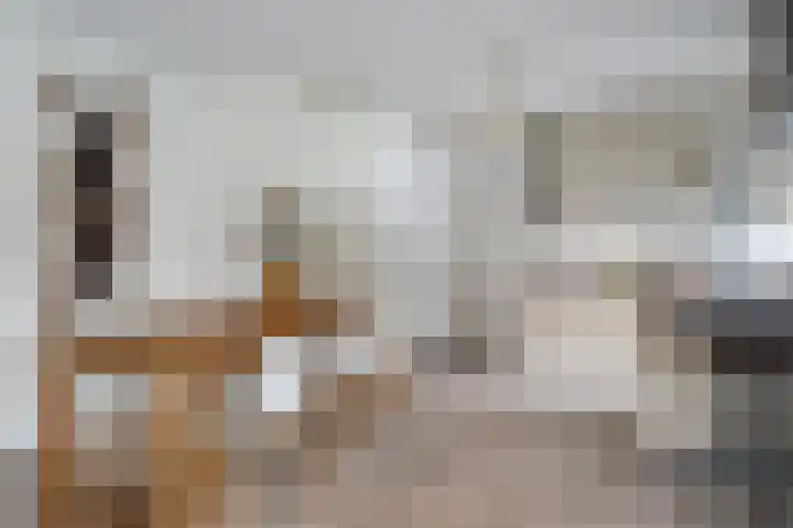 Laurierplein 45 Eindhoven thumbnail 19