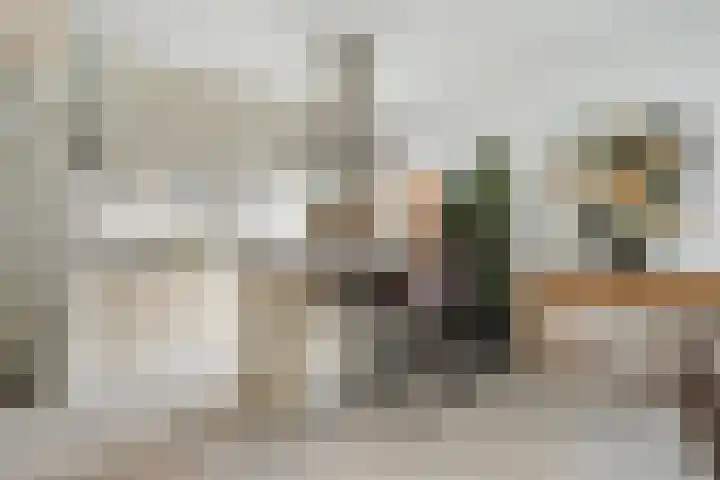Laurierplein 45 Eindhoven thumbnail 20