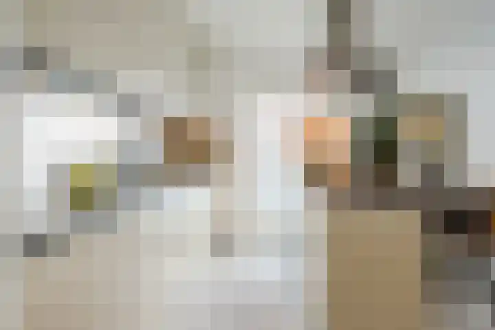 Laurierplein 45 Eindhoven thumbnail 21