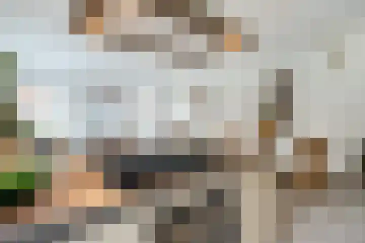 Laurierplein 45 Eindhoven thumbnail 22