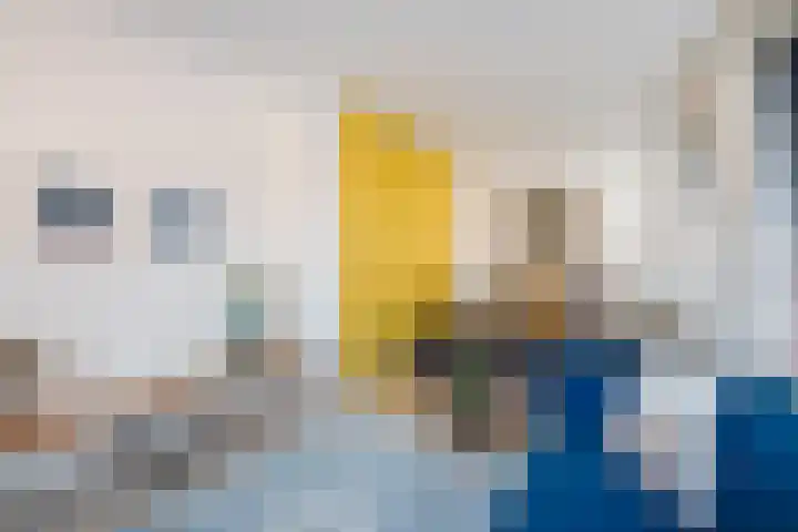 Laurierplein 45 Eindhoven thumbnail 25
