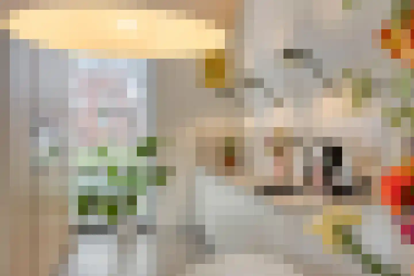 Laurierplein 49 Eindhoven thumbnail 12
