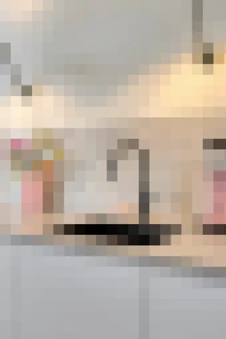 Laurierplein 49 Eindhoven thumbnail 14