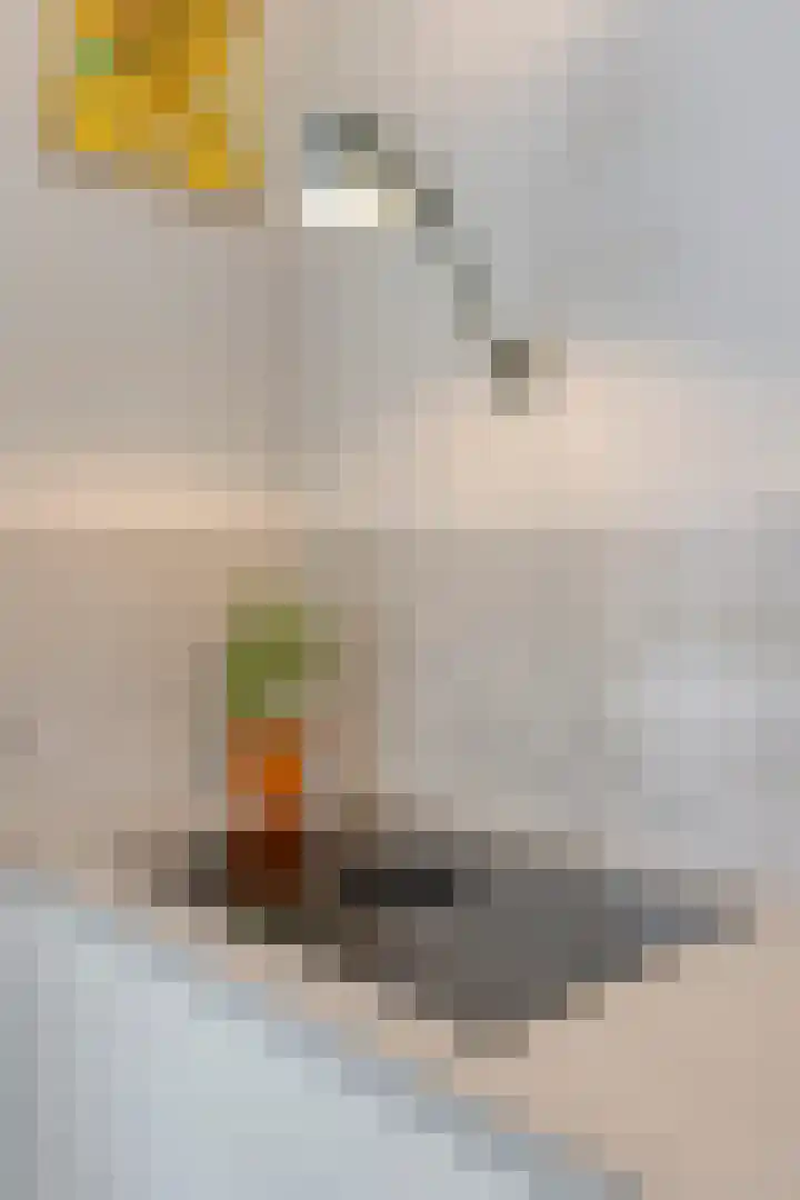 Laurierplein 49 Eindhoven thumbnail 15