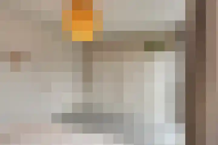 Laurierplein 49 Eindhoven thumbnail 25