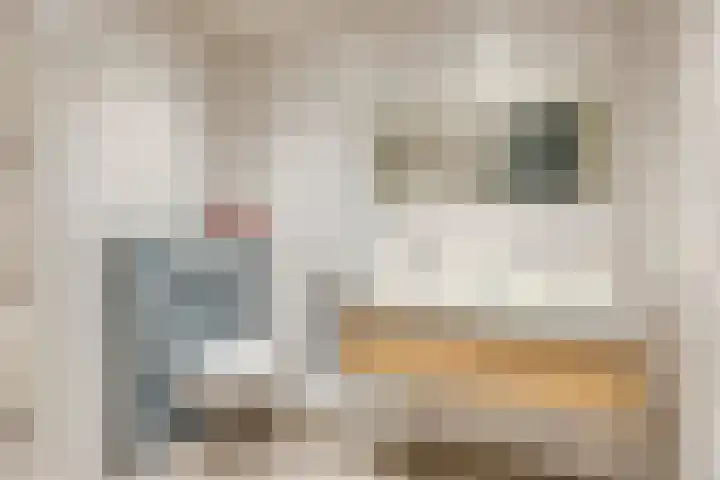 Laurierplein 49 Eindhoven thumbnail 26
