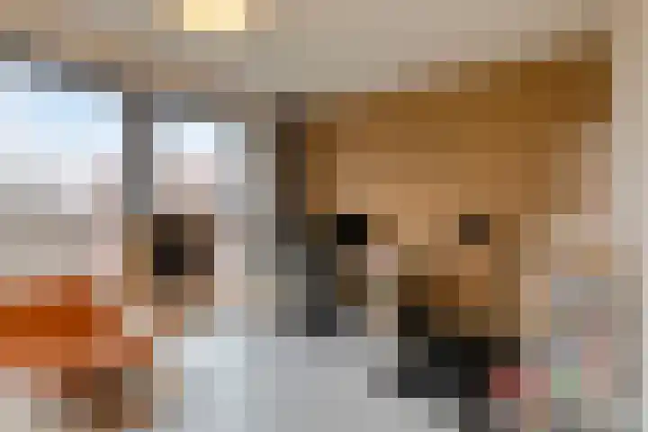 Laurierplein 49 Eindhoven thumbnail 33