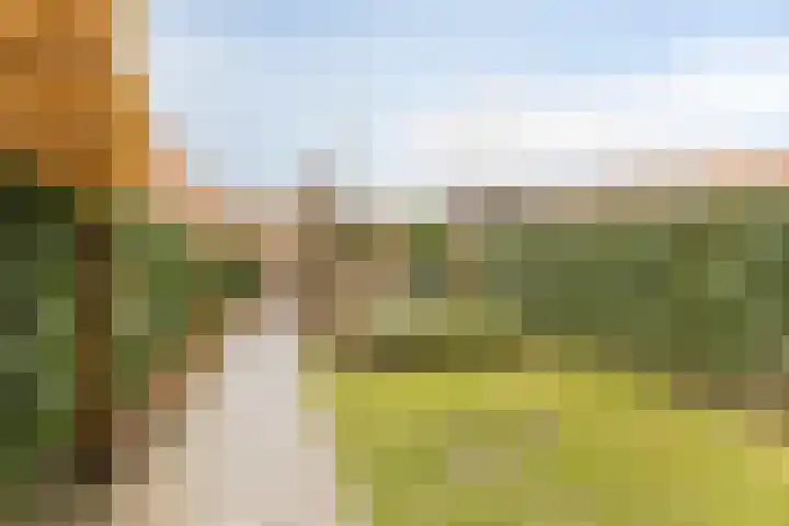 Laurierplein 49 Eindhoven thumbnail 35