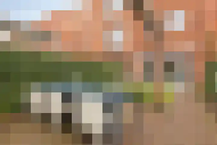 Laurierplein 49 Eindhoven thumbnail 36