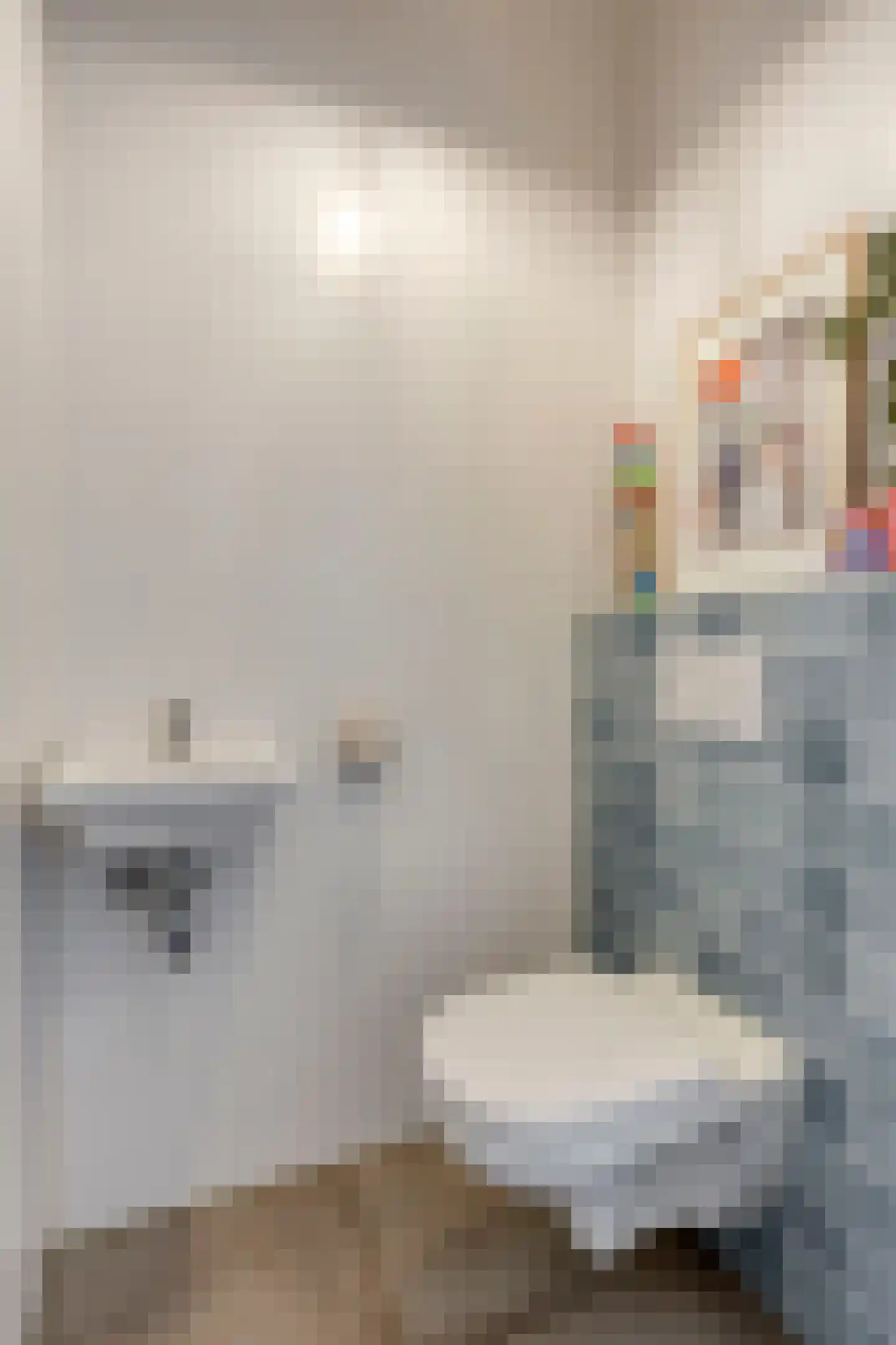 Laurierplein 49 Eindhoven thumbnail 7