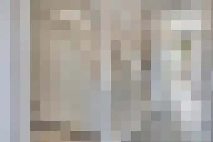 Laurierplein 64 Eindhoven thumbnail 12