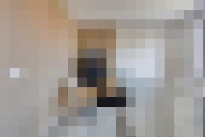 Laurierplein 64 Eindhoven thumbnail 13